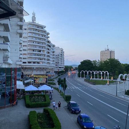 Studio Panoramic With Balcony And Parcul Unirii View 阿尔巴·尤利亚· 外观 照片