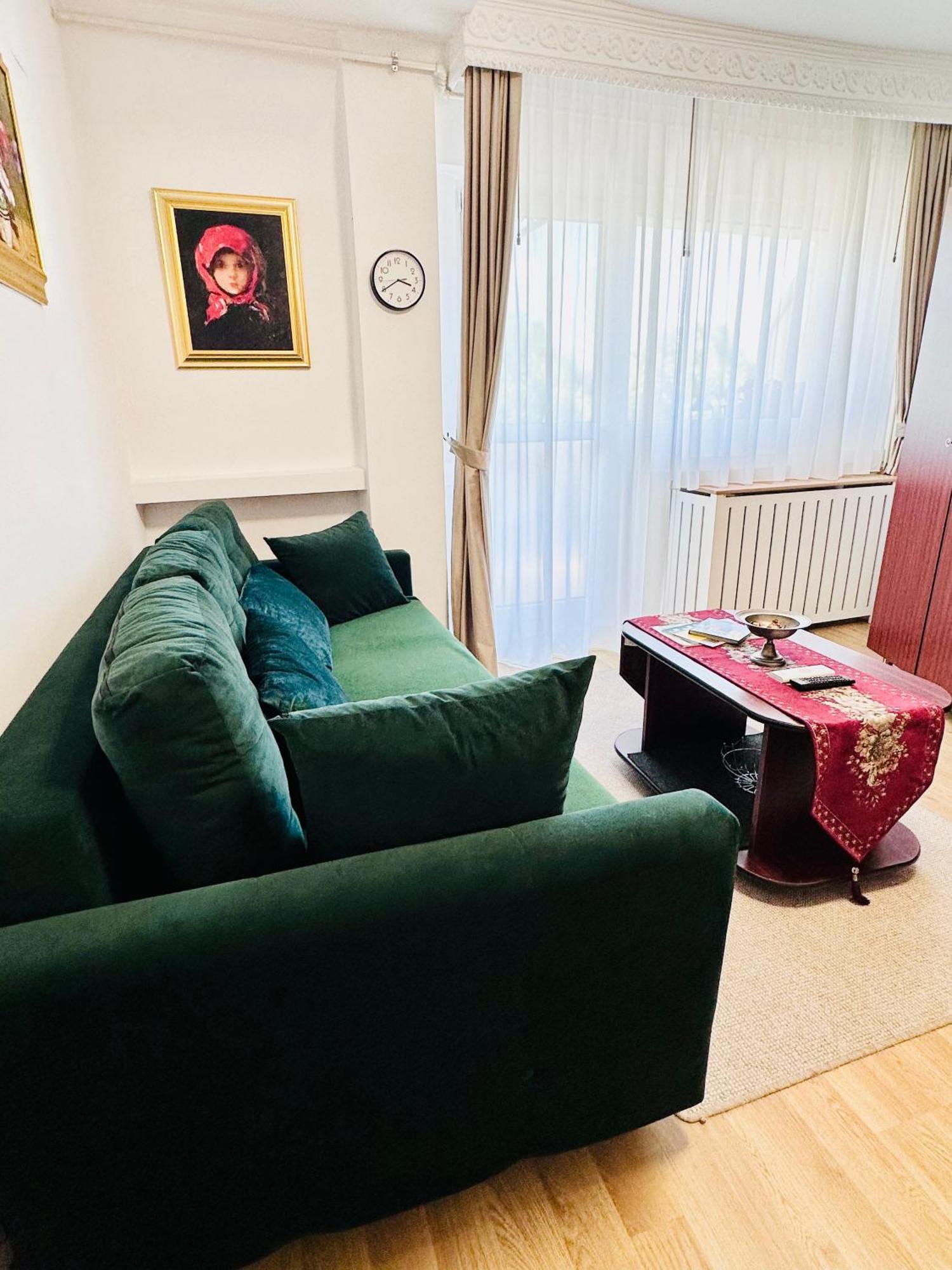 Studio Panoramic With Balcony And Parcul Unirii View 阿尔巴·尤利亚· 外观 照片