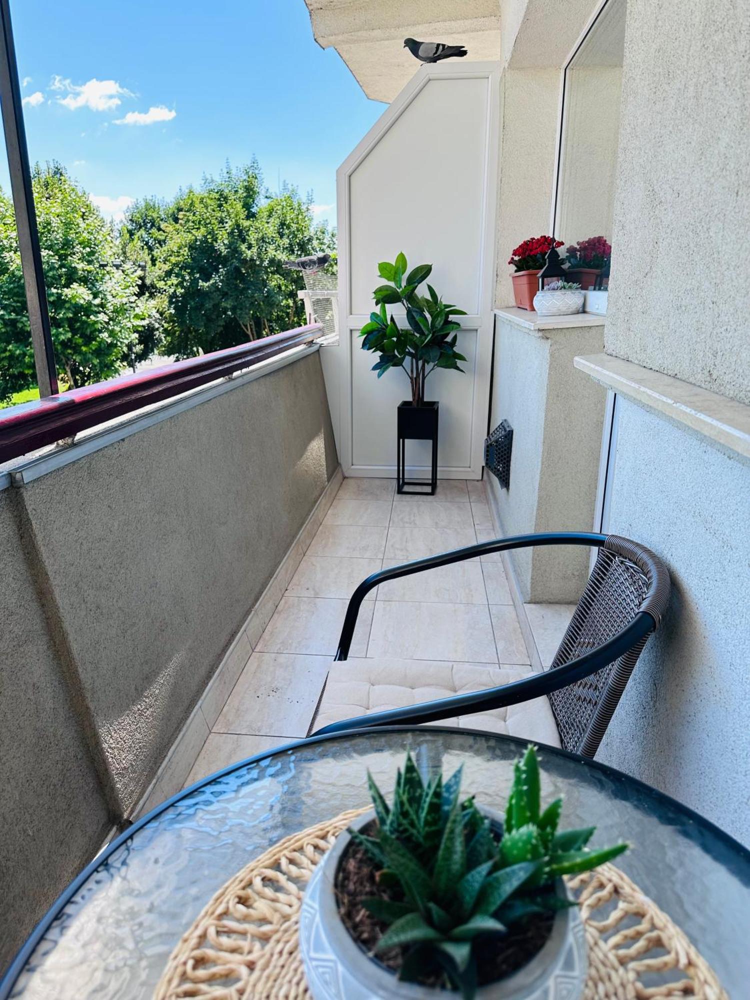 Studio Panoramic With Balcony And Parcul Unirii View 阿尔巴·尤利亚· 外观 照片